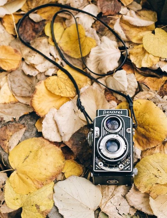 vintage camera